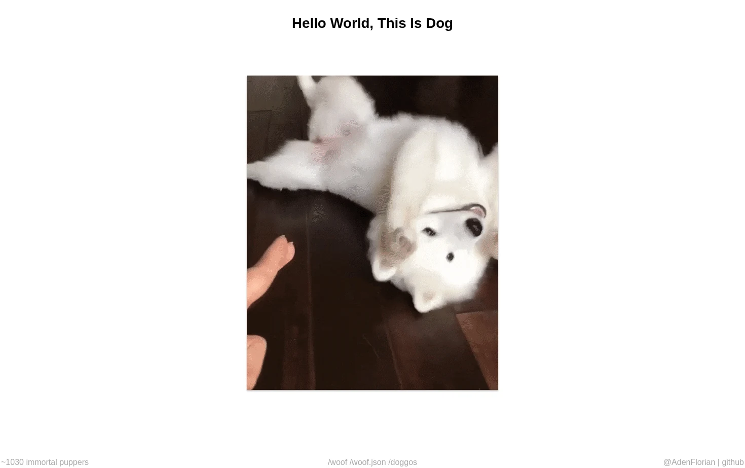random.dog 页面快照